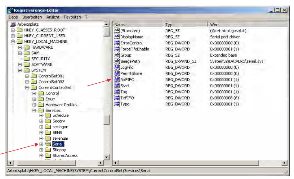 bmw inpa software registrierungs editor