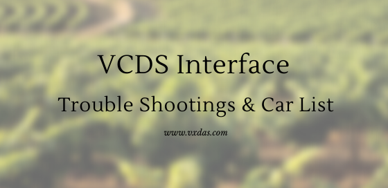 VCDS Interface_VXDAS